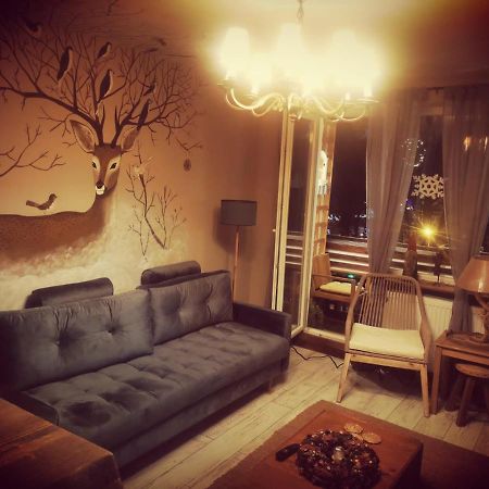 Exquisite 3 Room Apartment In The Heart Of Thetown Câmpulung Moldovenesc Buitenkant foto